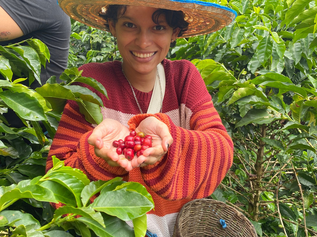Ecoturismo La Nohelia-Jerico必去景点