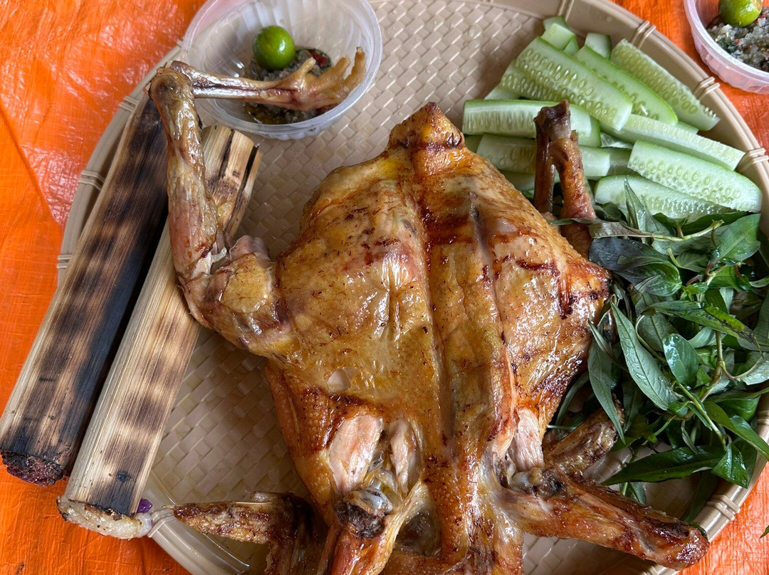 Cat Farm-保禄县必去景点