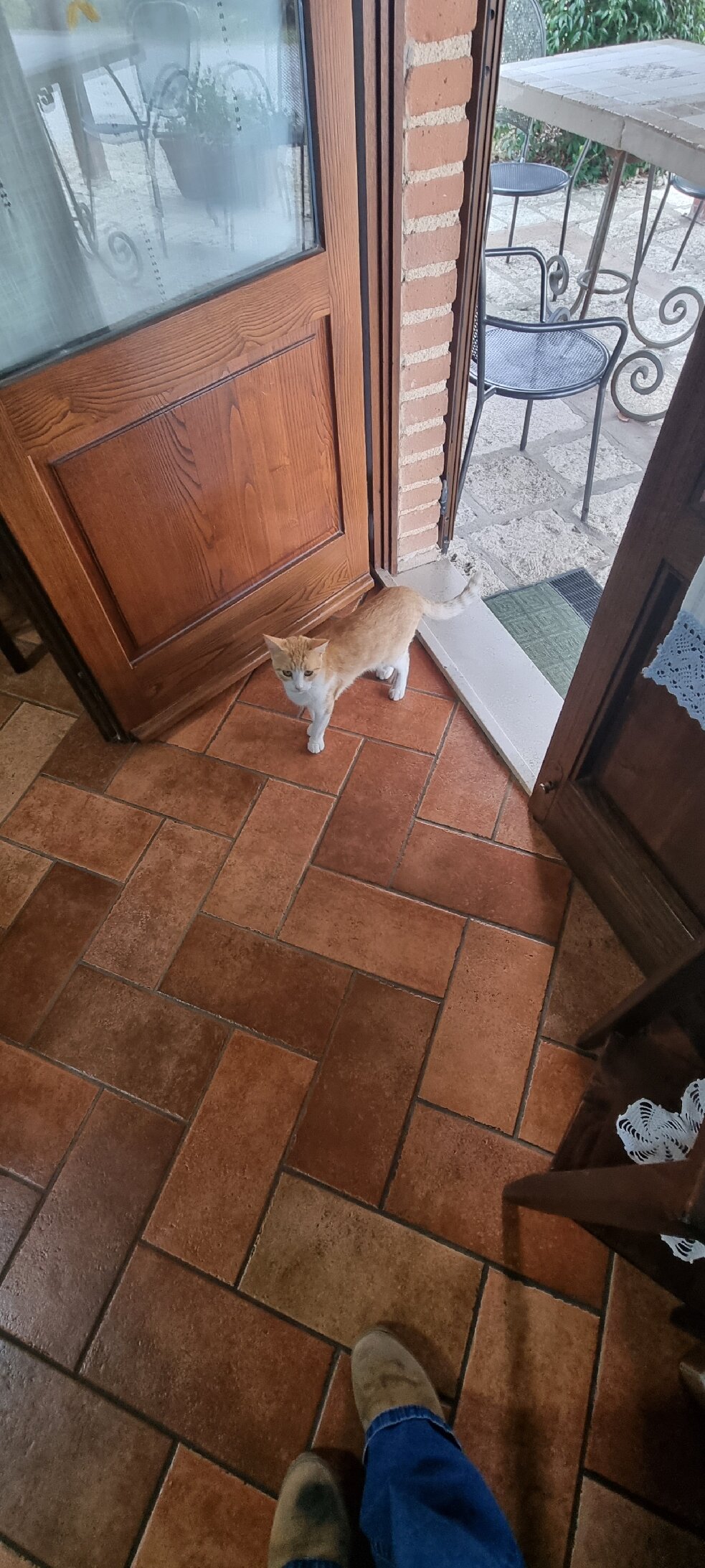 Agriturismo Poggio Mario-官方