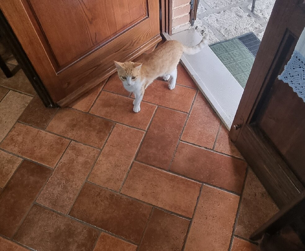 Agriturismo Poggio Mario主图