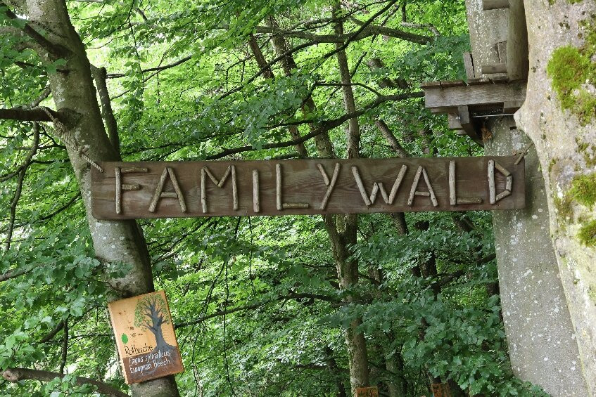 Familywald Ossiacher See-欧西亚赫必去景点