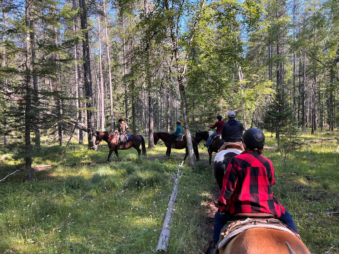 Swan Mountain Outfitters - Glacier Division-西格拉西尔必去景点