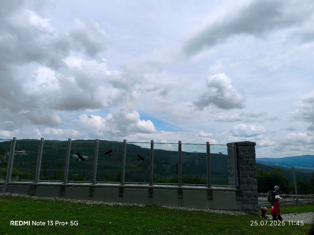 Großer Arber-Bayerisch Eisenstein必去景点