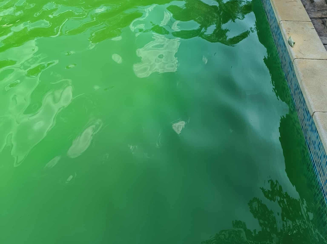 Platanos Kuria主图