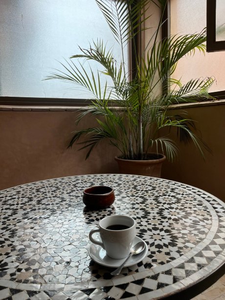 里亚德达尔港酒店-官方