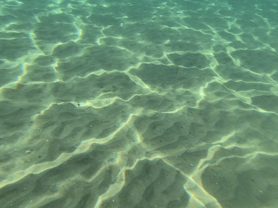 Plage de Pramousquier-莱拉旺杜必去景点