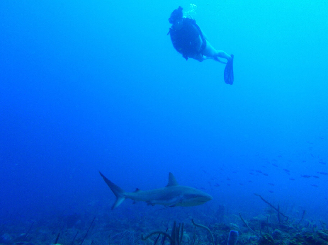 Anda Di Wata Dive School-Providencia Island必去景点