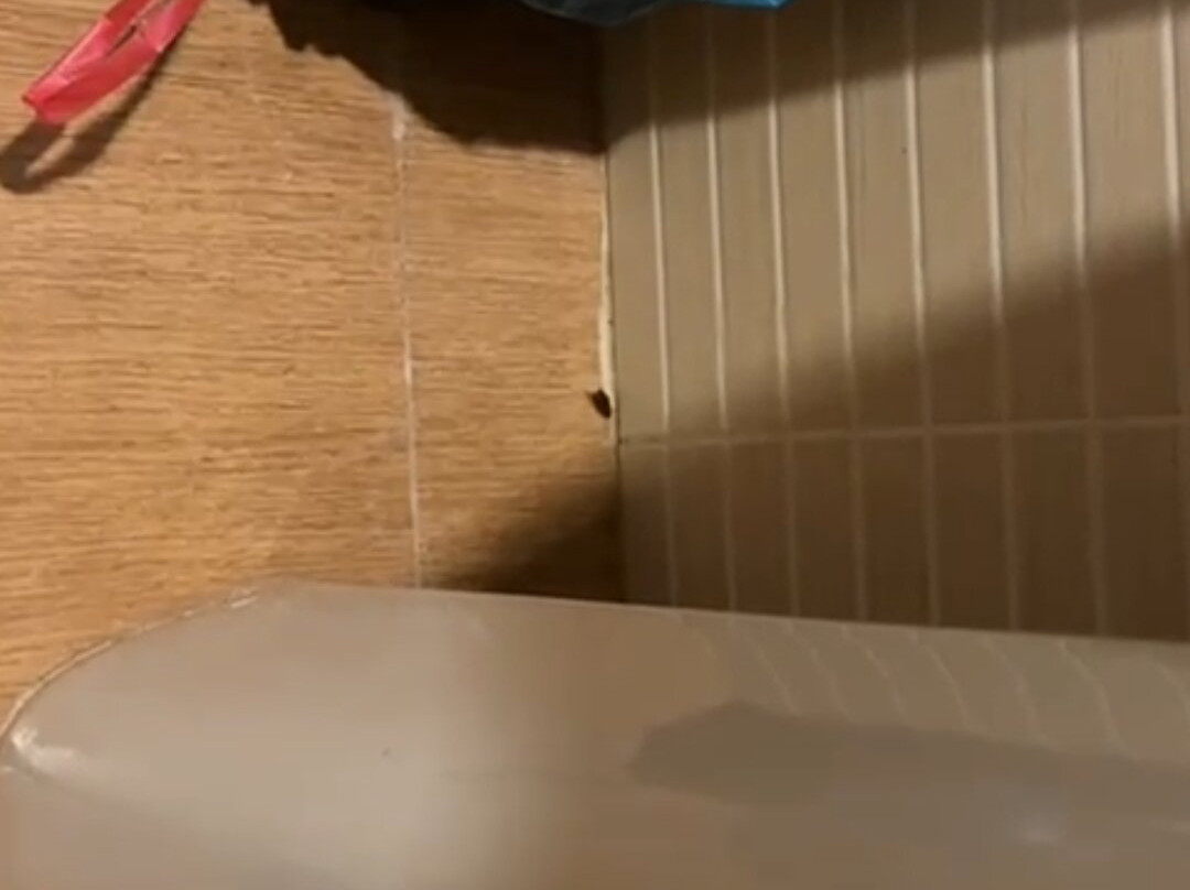 Pension Venta de Tebar主图