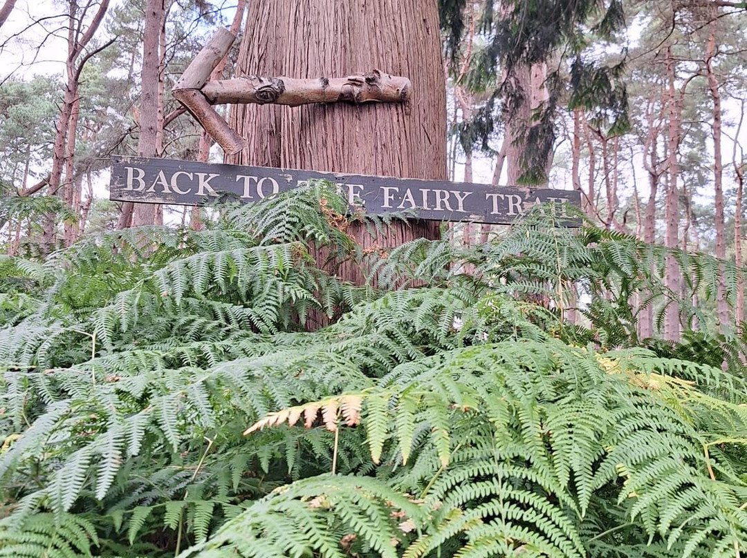 Northwood Trail – England’s Fairy Sanctuary-约克必去景点