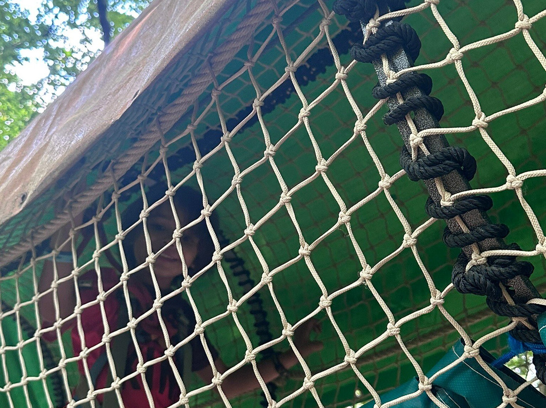 Parc Arbor et Sens-Saint-Genes-de-Lombaud必去景点