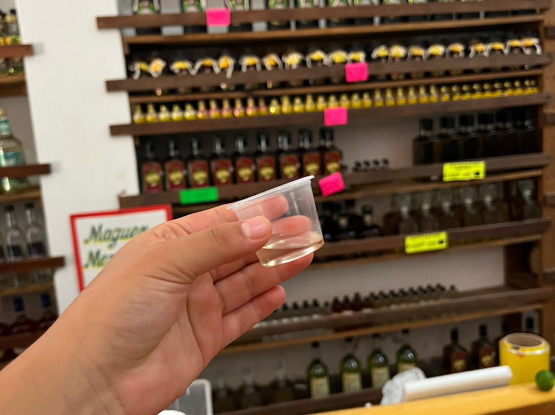 Ocean Travel-瓦图尔科必去景点