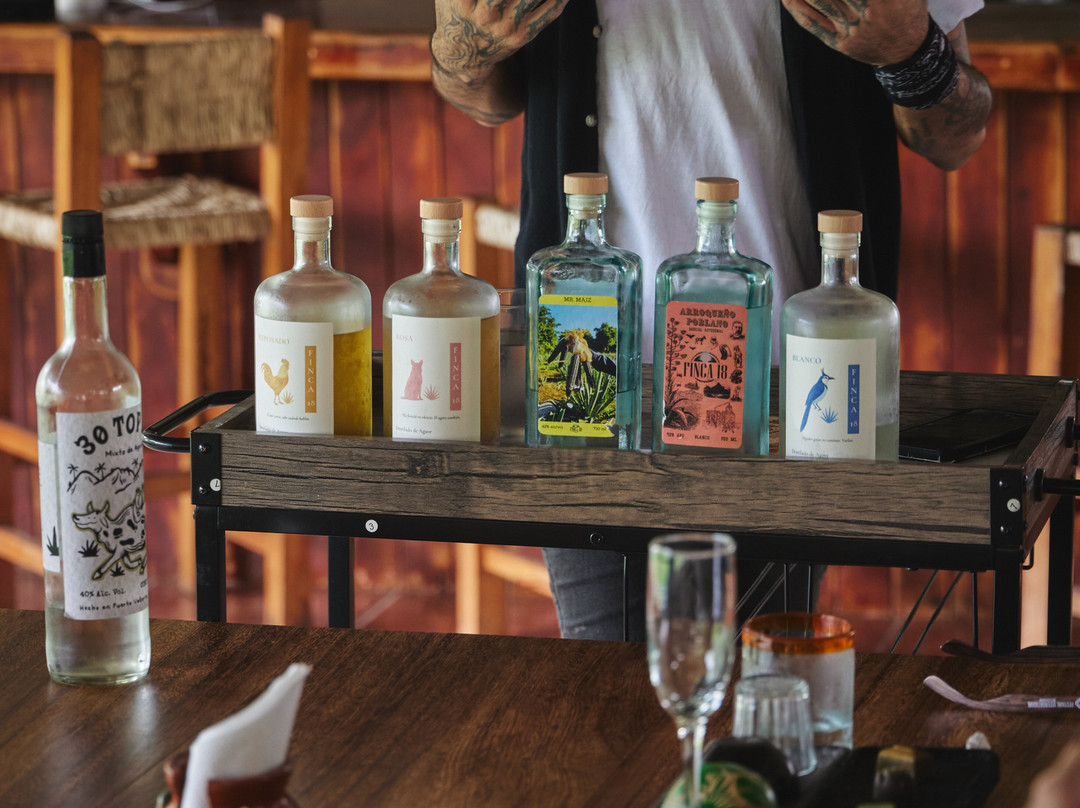 Finca 18-瓦拉塔港必去景点