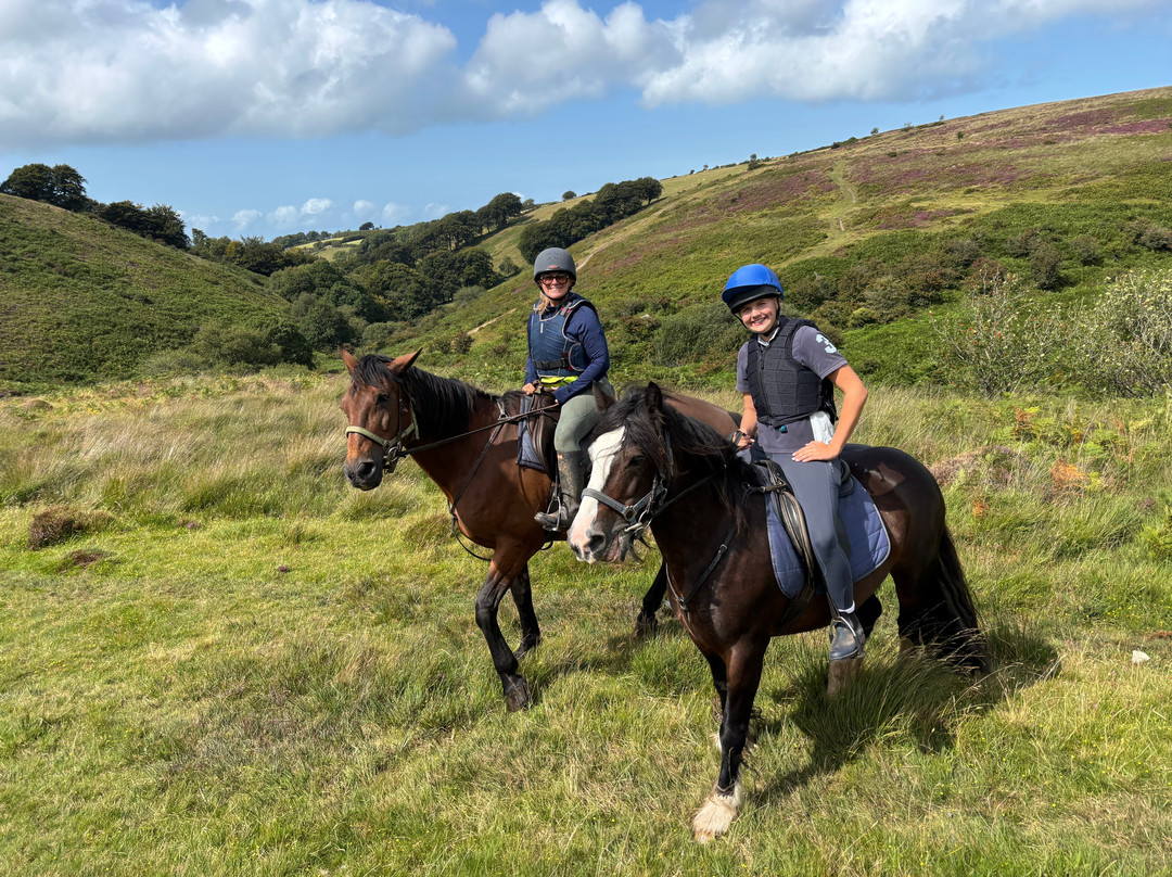 Brendon Manor Stables-林顿必去景点
