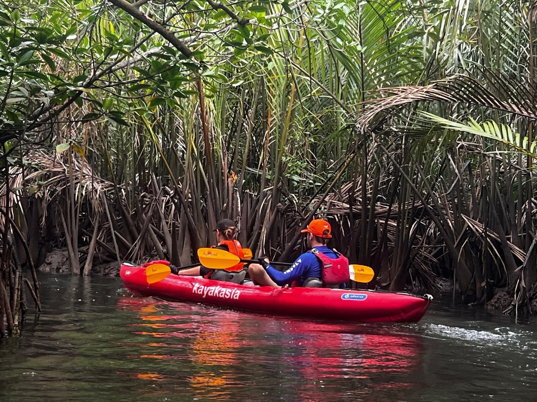 薄荷岛Kayakasia水上之旅-Maribojoc必去景点