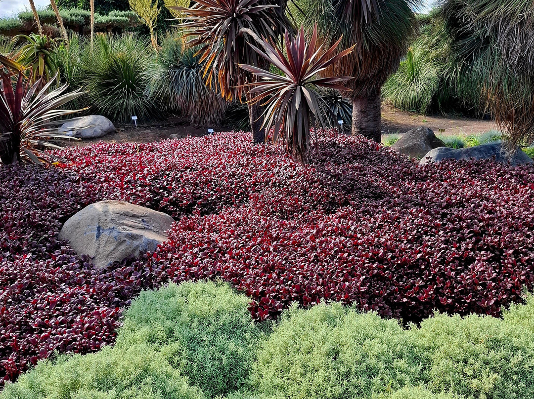 Radicepura-Giarre必去景点