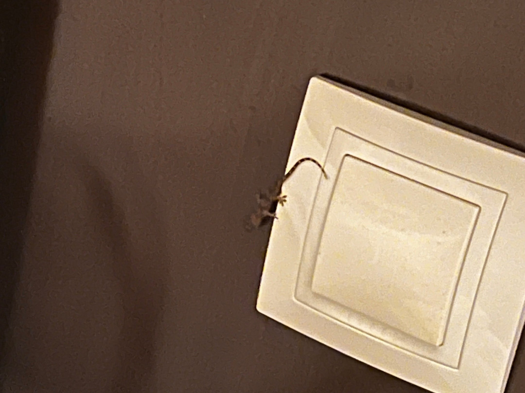 Santa Maria Beach-圣玛丽亚岛必去景点