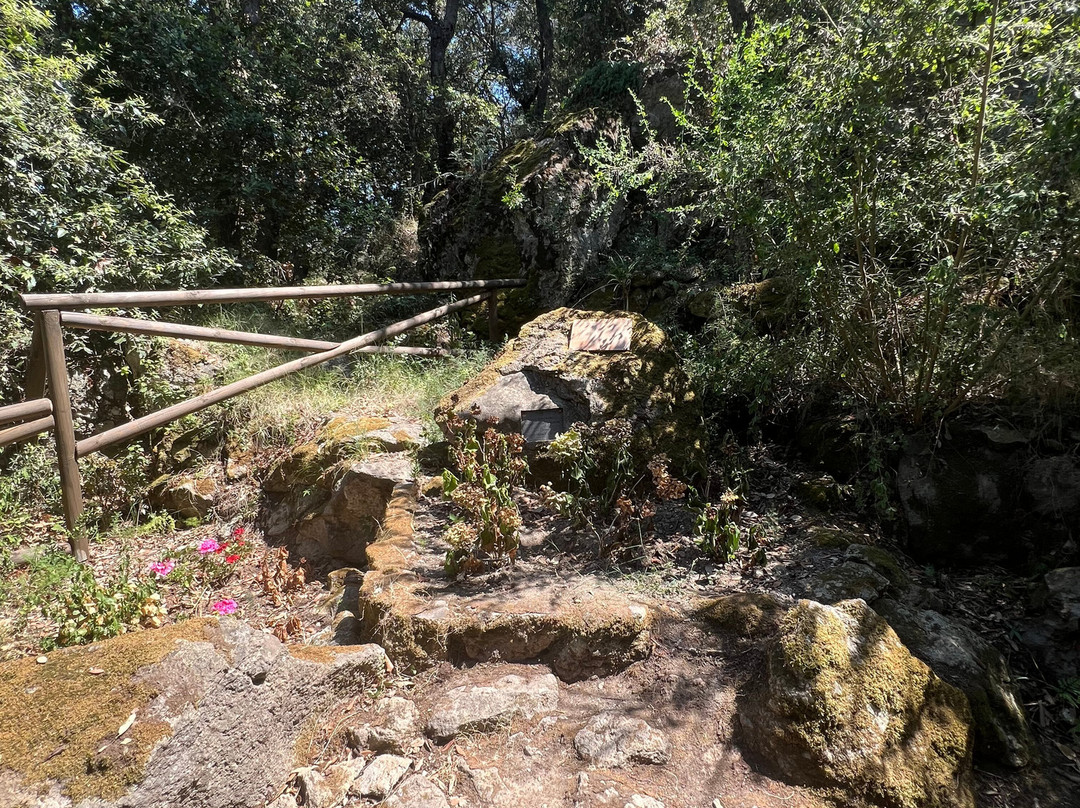 Luchino Visconti Museum - Villa La Colombaia-福里奥必去景点