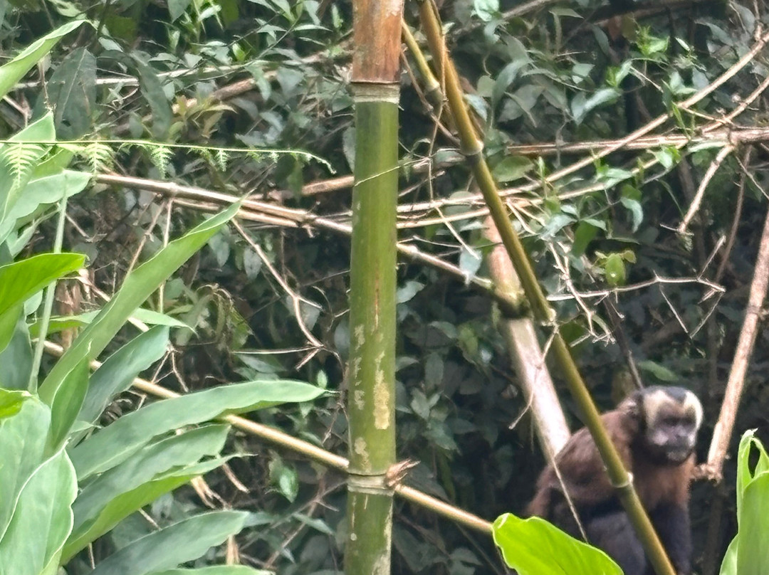 Manu Tour Operator  Expediciones Vilca-Manu必去景点