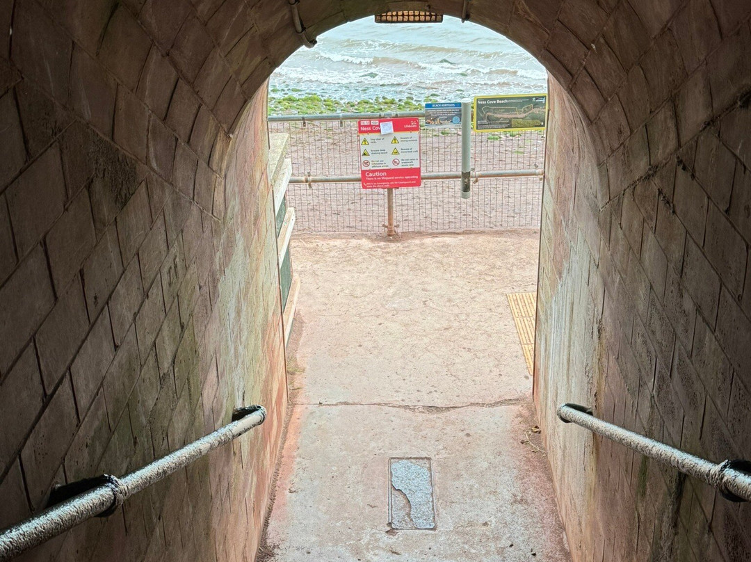 Ness Cove-Shaldon必去景点