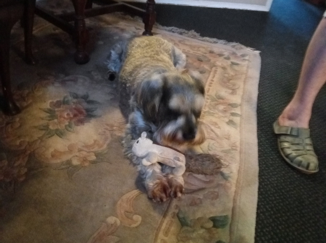 The Cross Keys Hotel主图