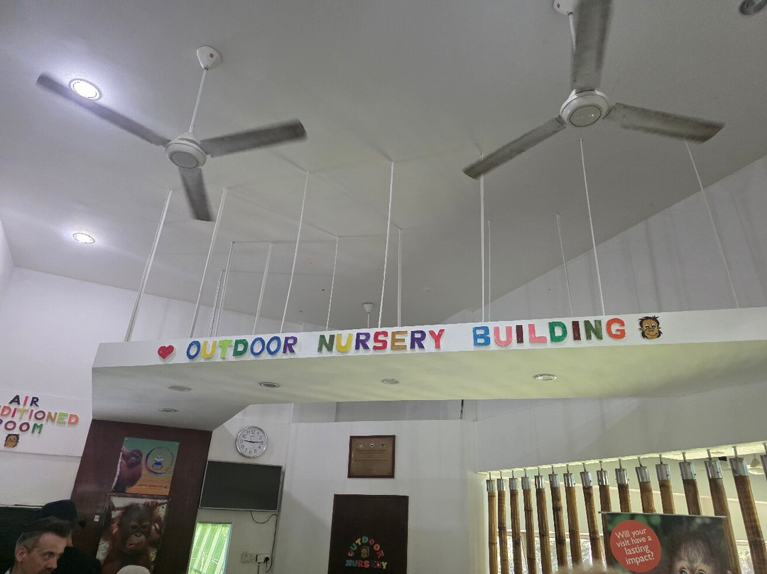 Sepilok Orangutan Rehabilitation Centre-山打根必去景点