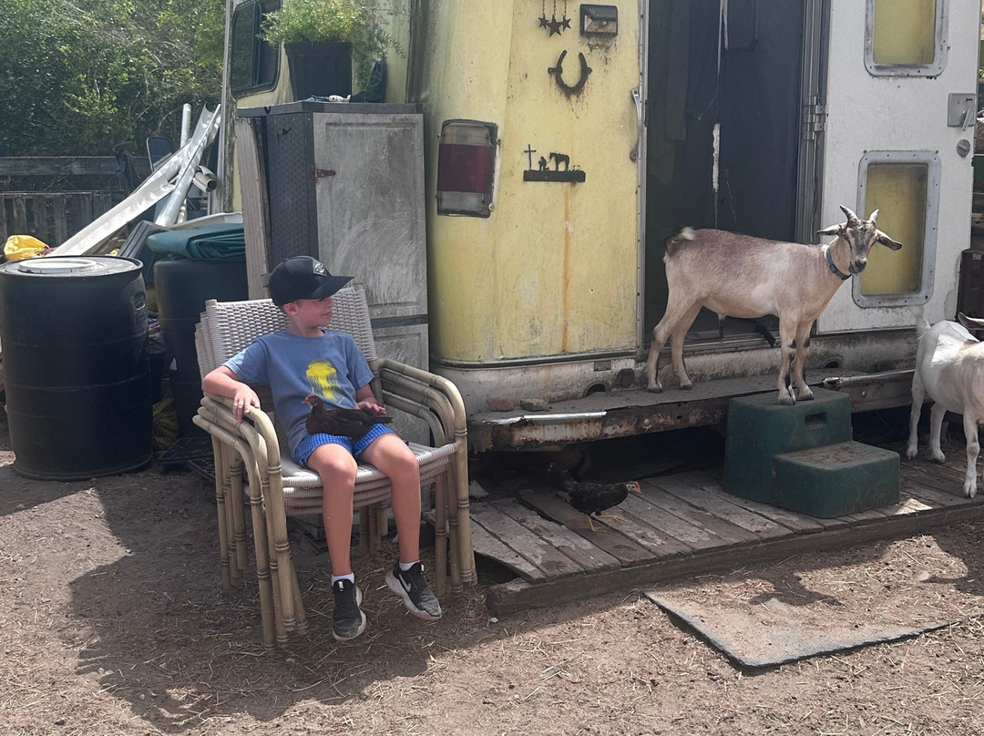 Carolina Corral-Coral Bay必去景点