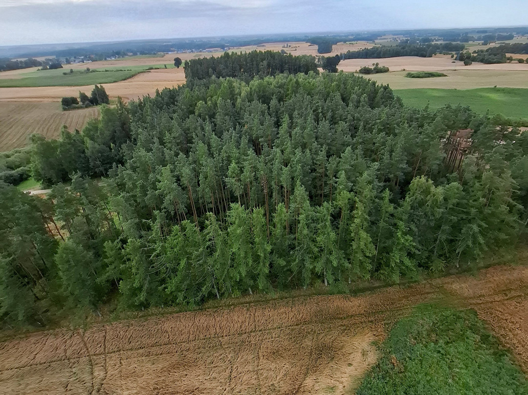 Balloon Expedition-Jelenia Gora必去景点