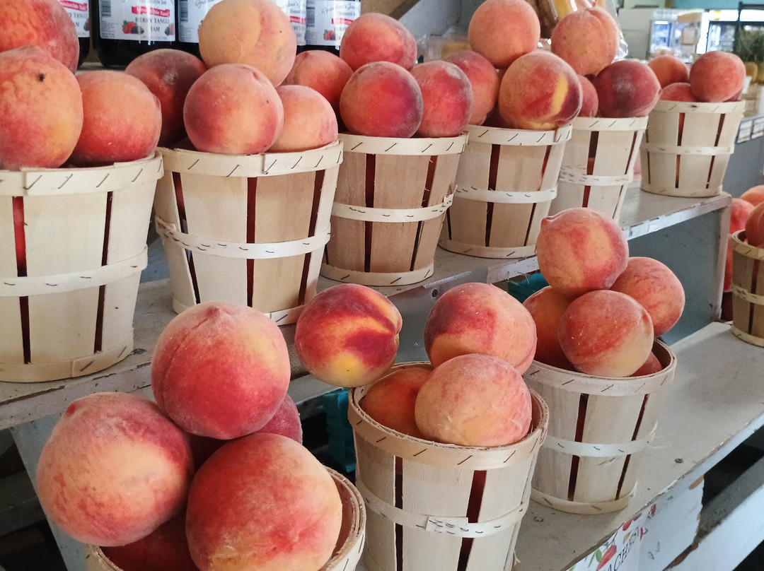 Parson's Farms-Dagsboro必去景点