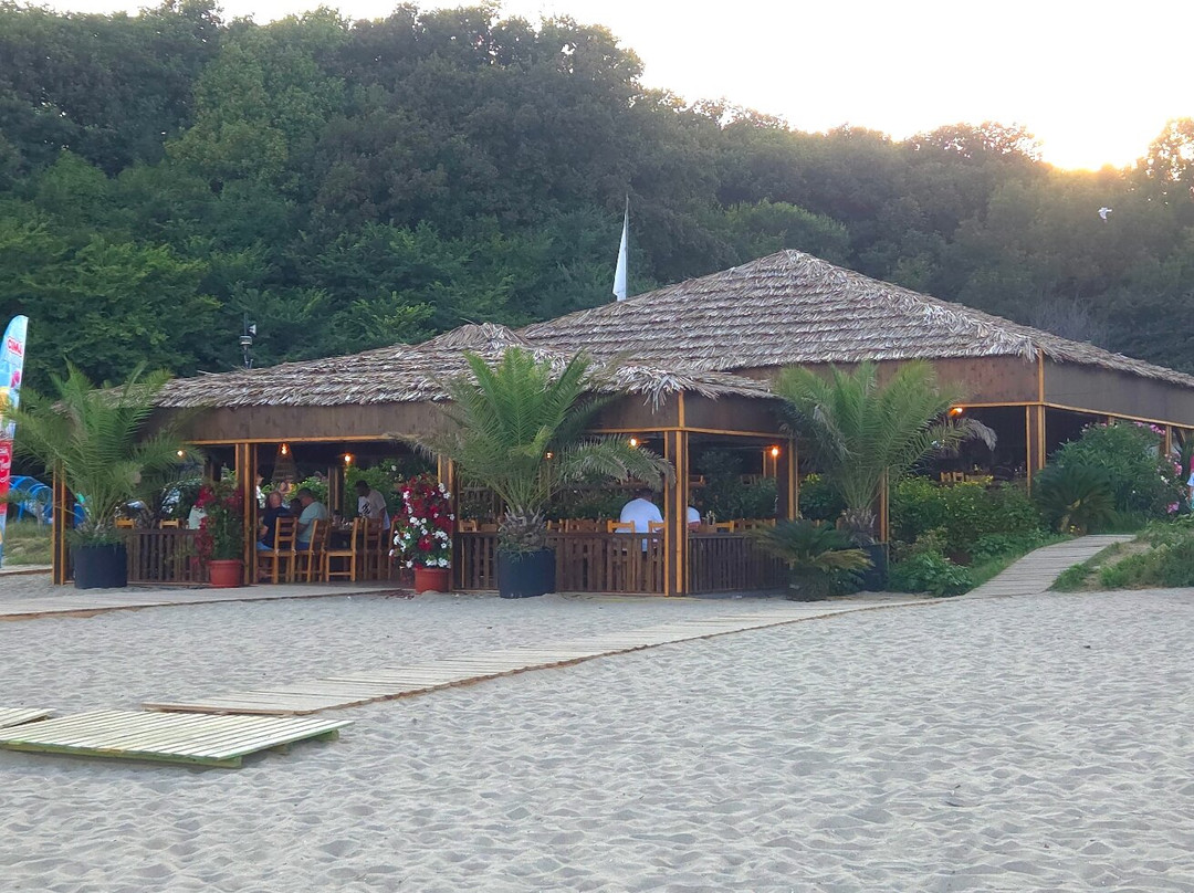 The Crippled Jellyfish