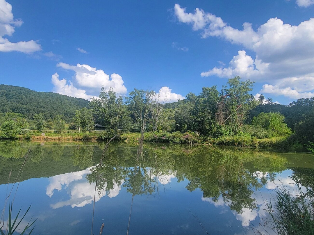 Lake Shawnee Abandoned Amusement Park-Rock必去景点