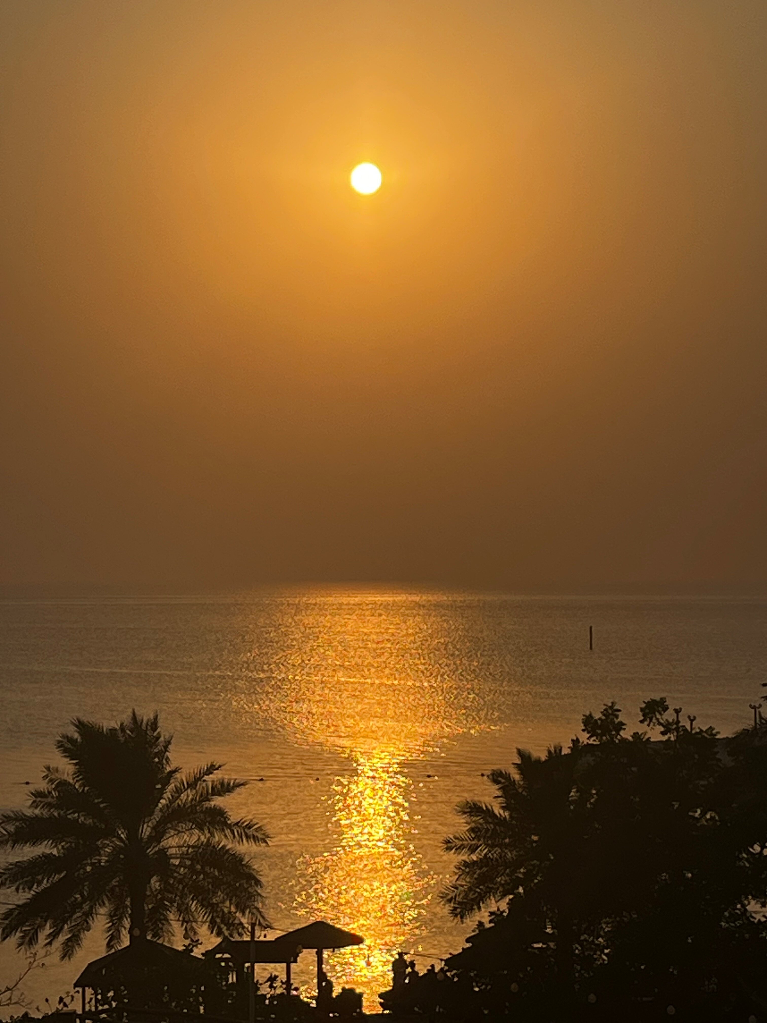 巴林索菲特酒店 Zallaq Thalassa 海洋水疗中心-浴室