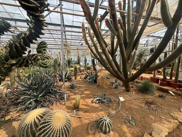 Cactuseraie de Creismeas-Guipavas必去景点