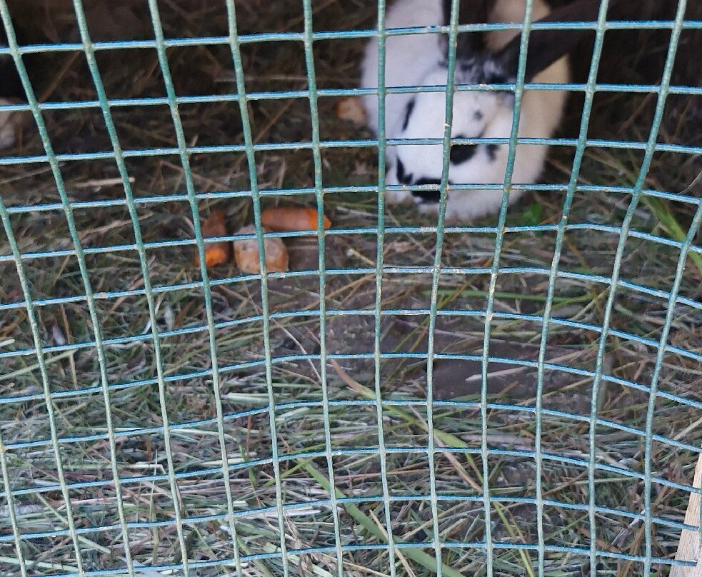 Rosskopf - Monte Cavallo-维皮泰诺必去景点