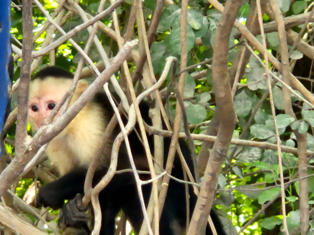 Water And Land Activities-Playa Panama必去景点