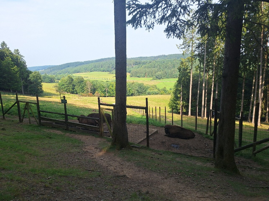 Wild- & Erlebnispark Daun-Daun必去景点