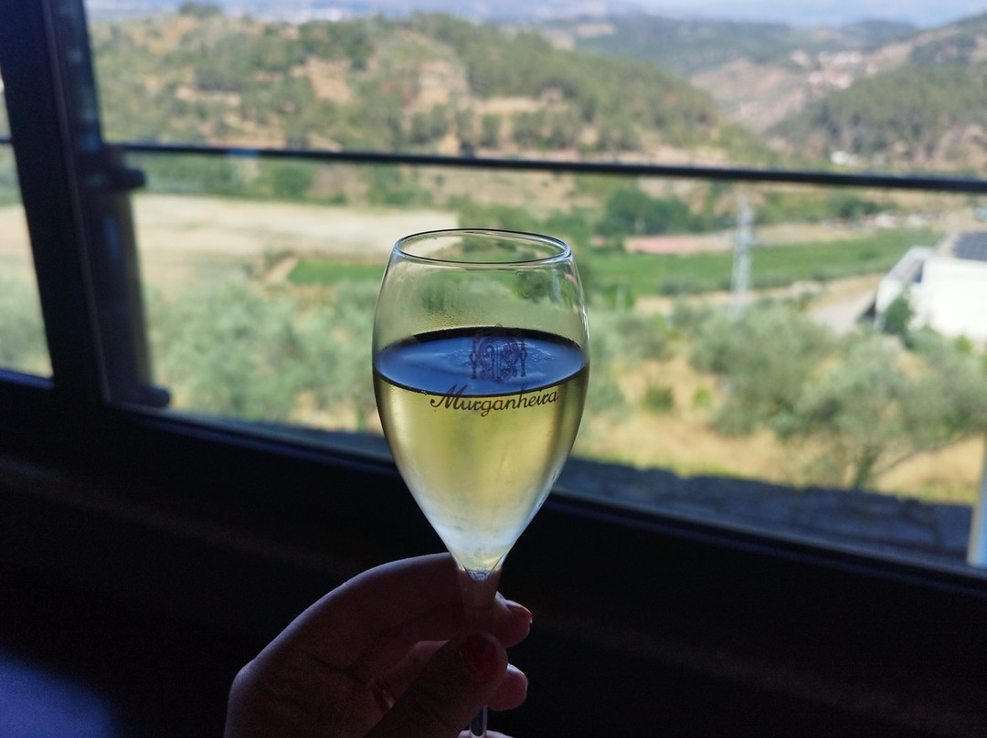 Caves da Murganheira-Tarouca必去景点