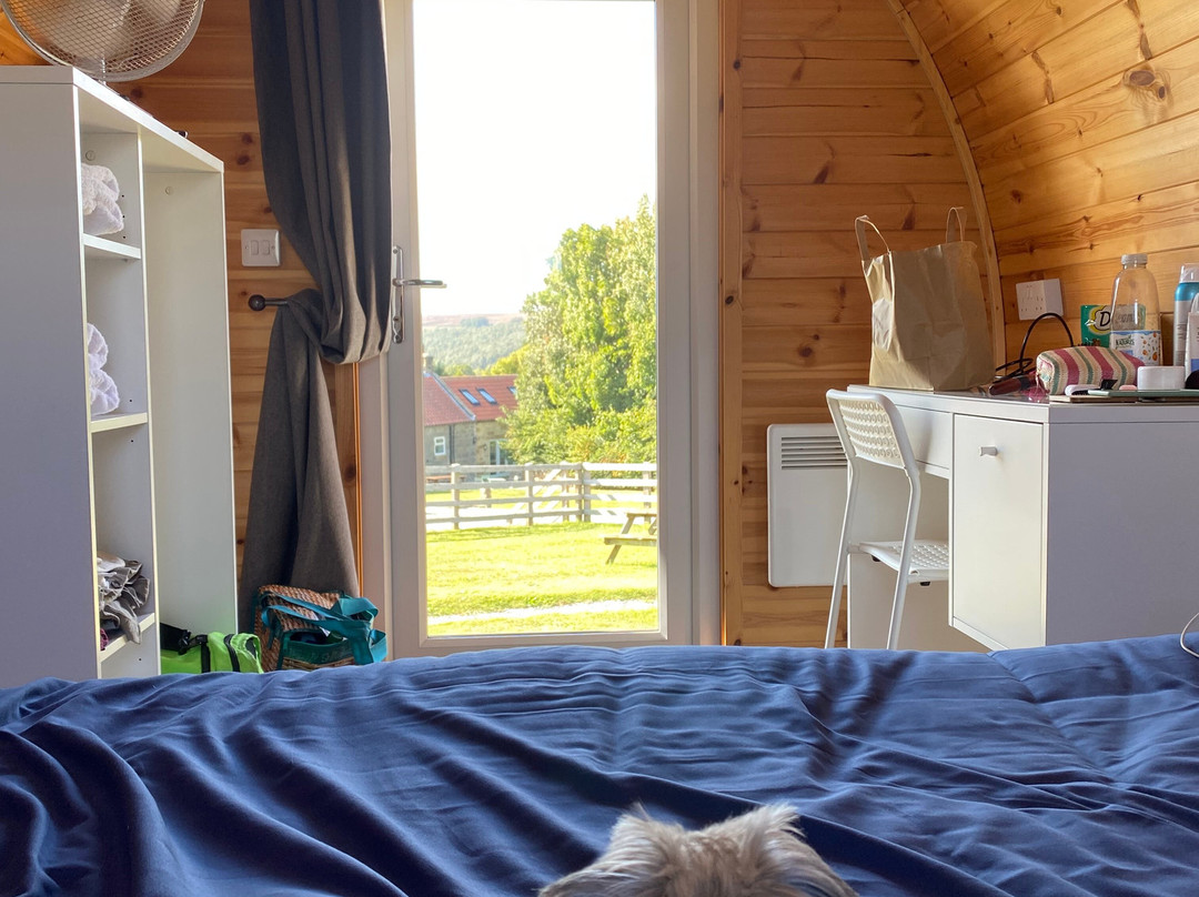 The Fox & Hounds主图