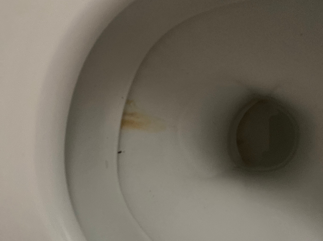 Baia Degli Aranci主图