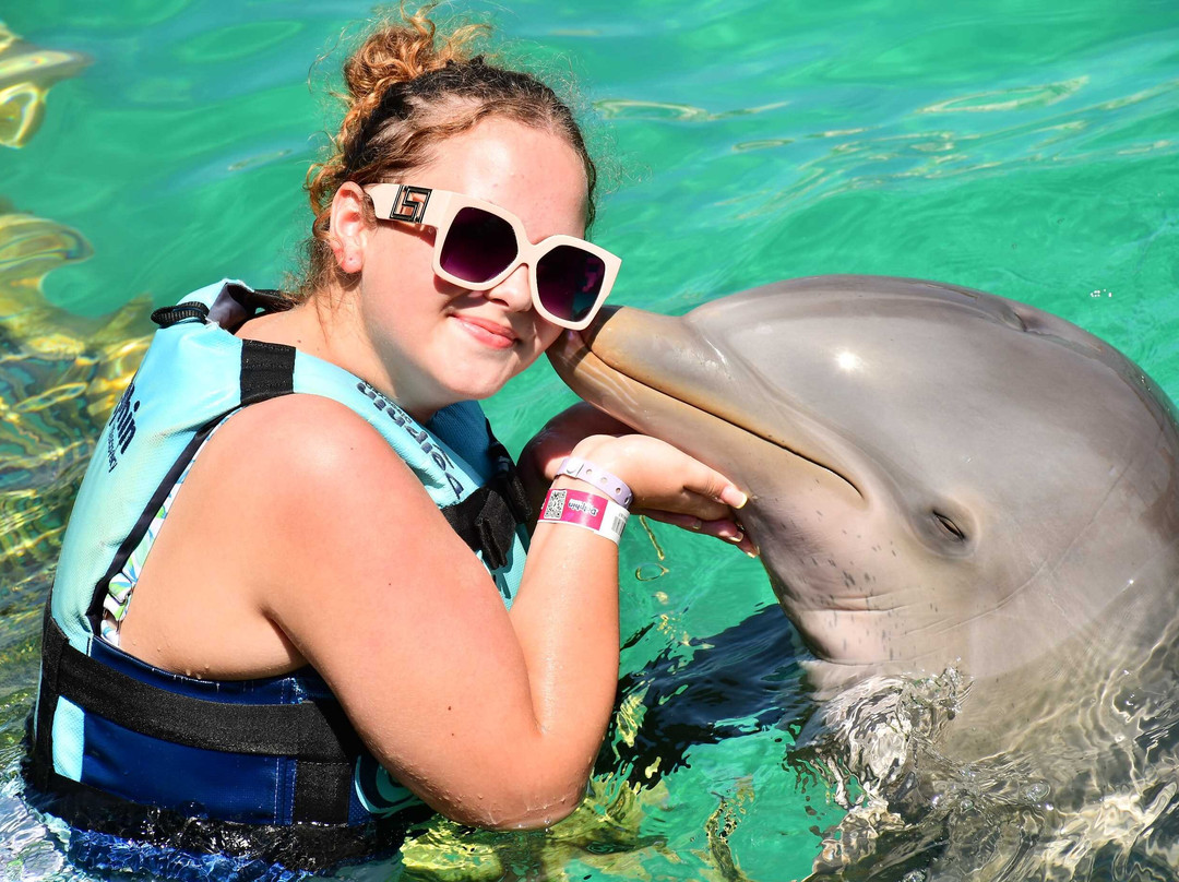 Dolphin Discovery Playa Del Carmen-普拉亚德尔卡曼必去景点