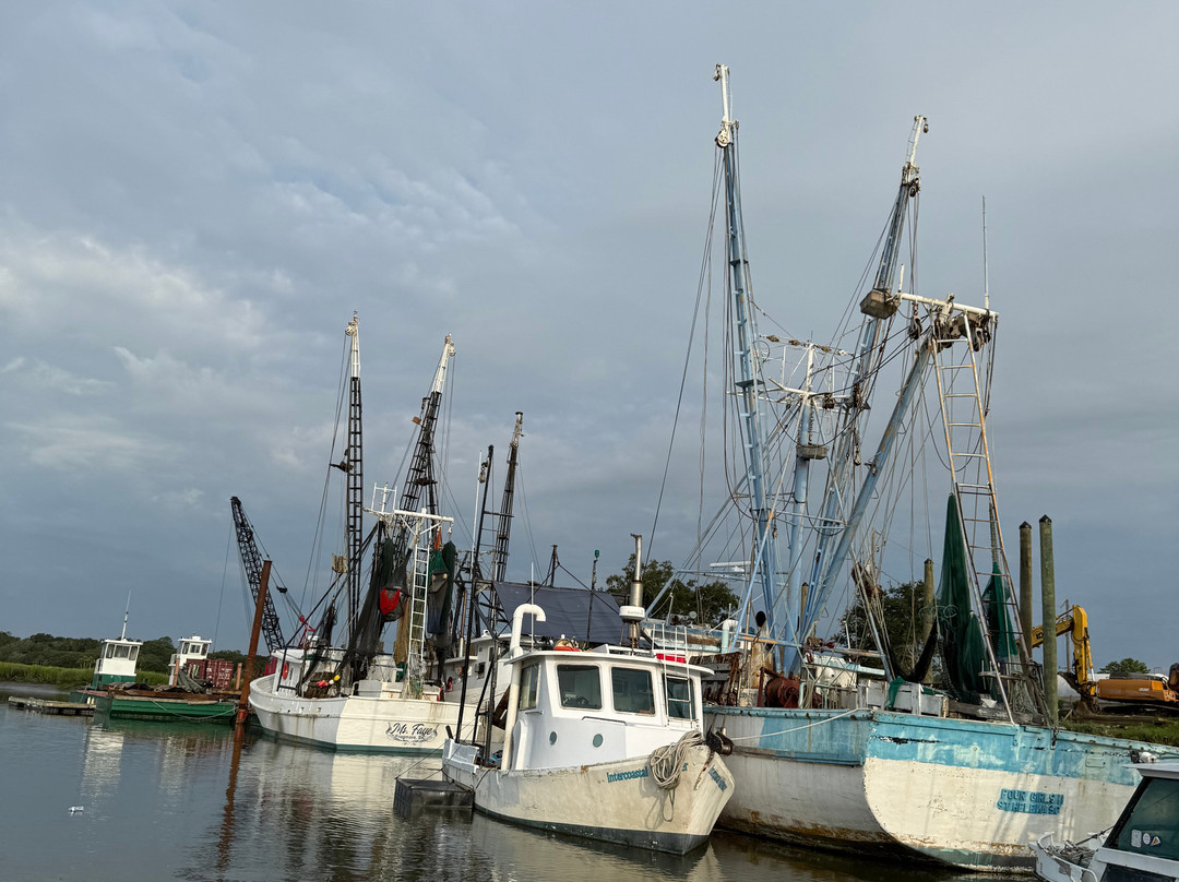 St. Phillips Island Ferry-Saint Helena Island必去景点