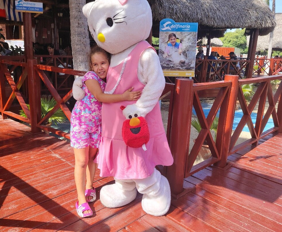 Delfinario-巴拉德罗必去景点