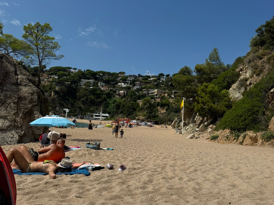 Platja de Canyelles-犹兰特德玛必去景点