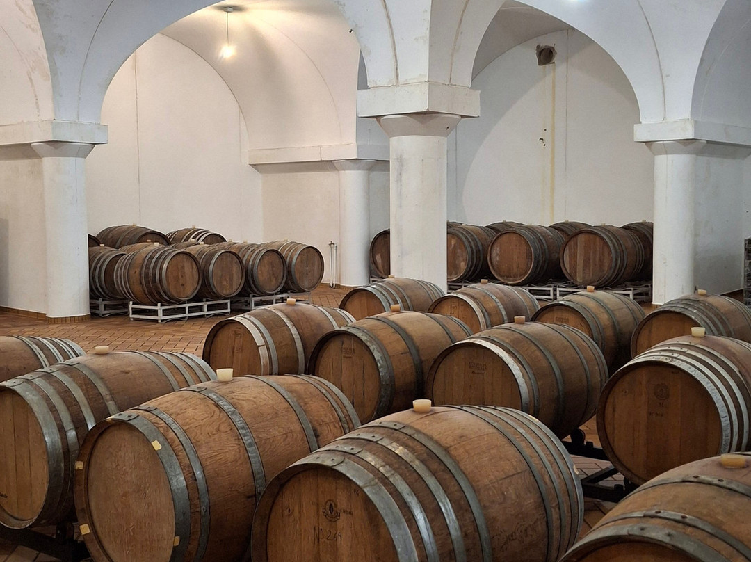 Conte Leopardi Wines-努马纳必去景点