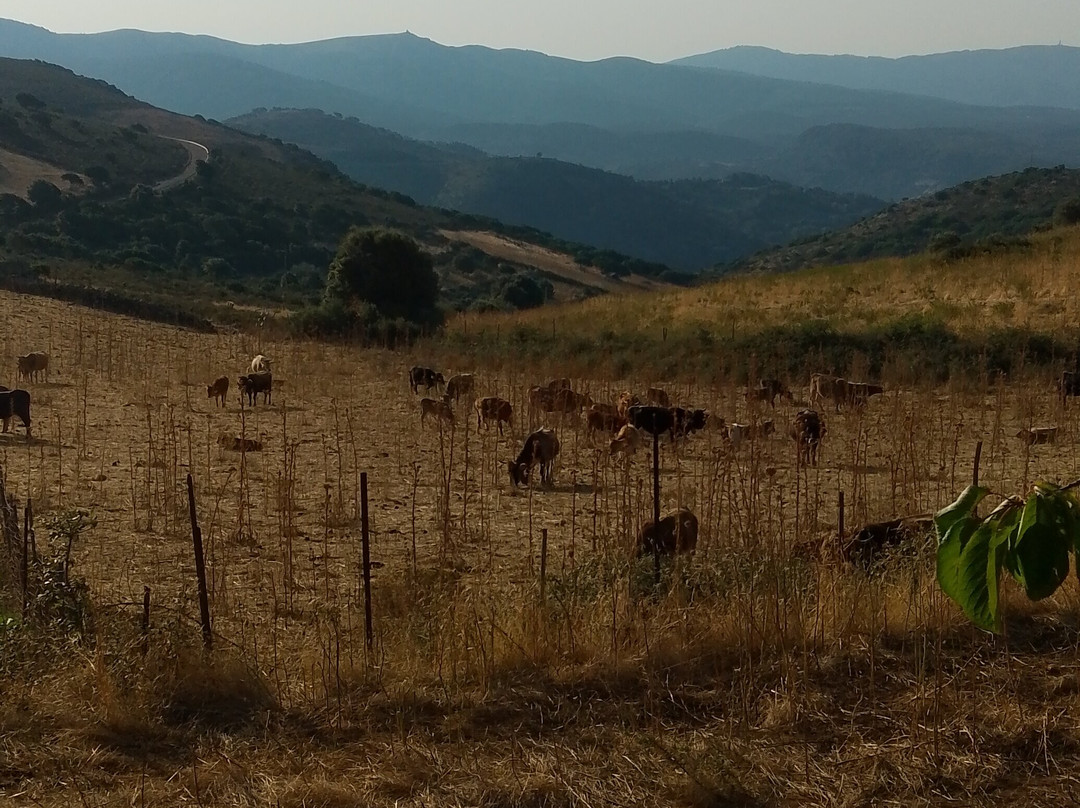 Agriturismo S'Armidda主图