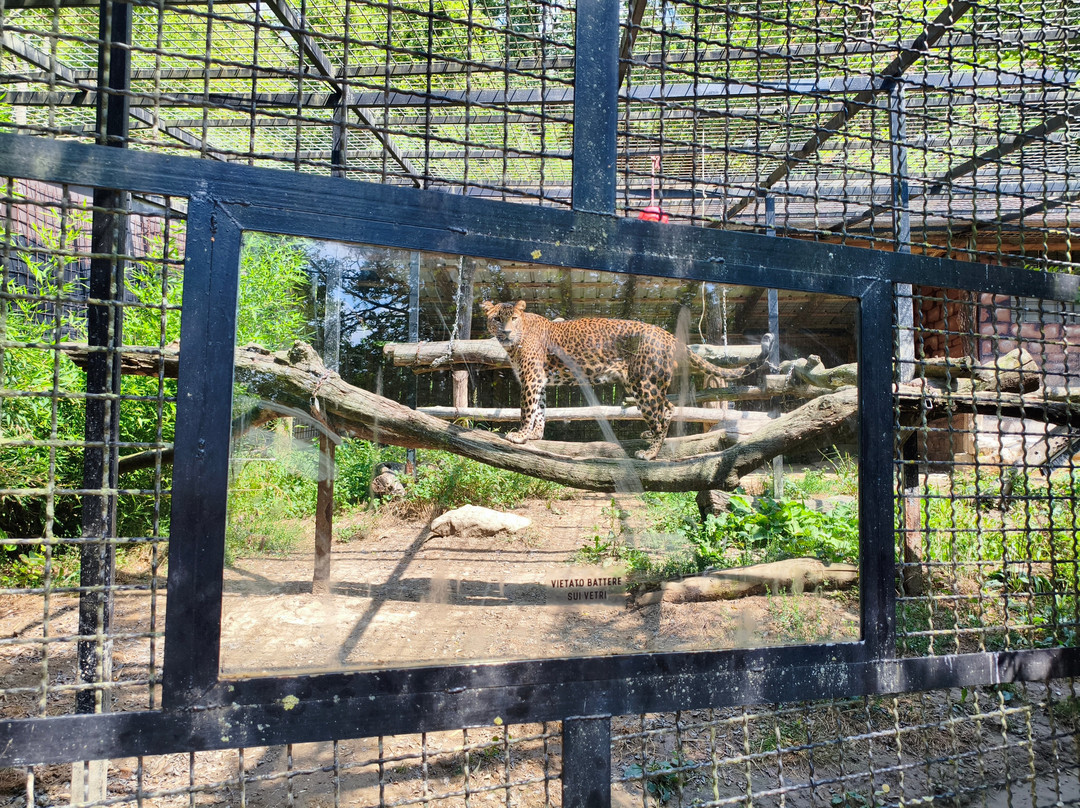 Parco Safari delle Langhe-Murazzano必去景点