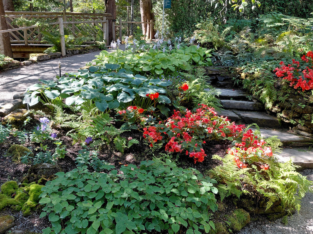 Jardins de Metis / Reford Gardens-Grand-Metis必去景点