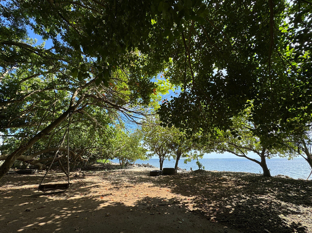 Palolo Deep Marine Reserve-阿皮亚必去景点