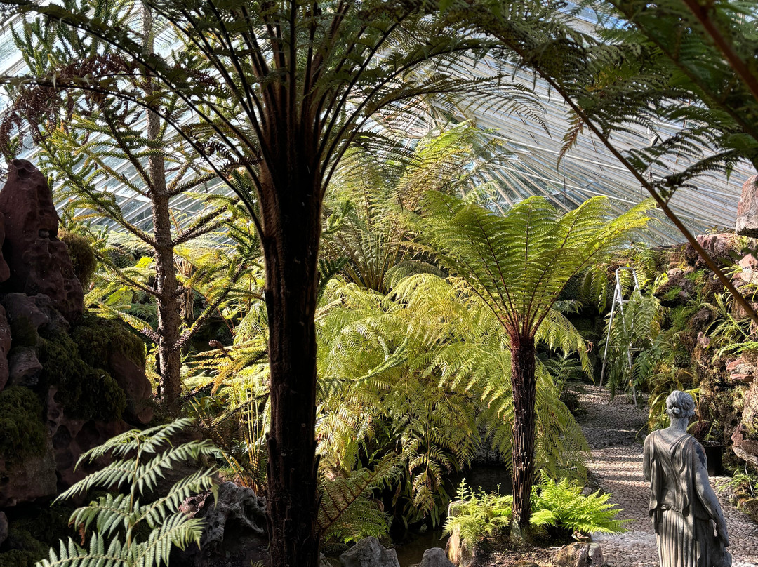 Ascog Hall Fernery and Garden-Ascog必去景点