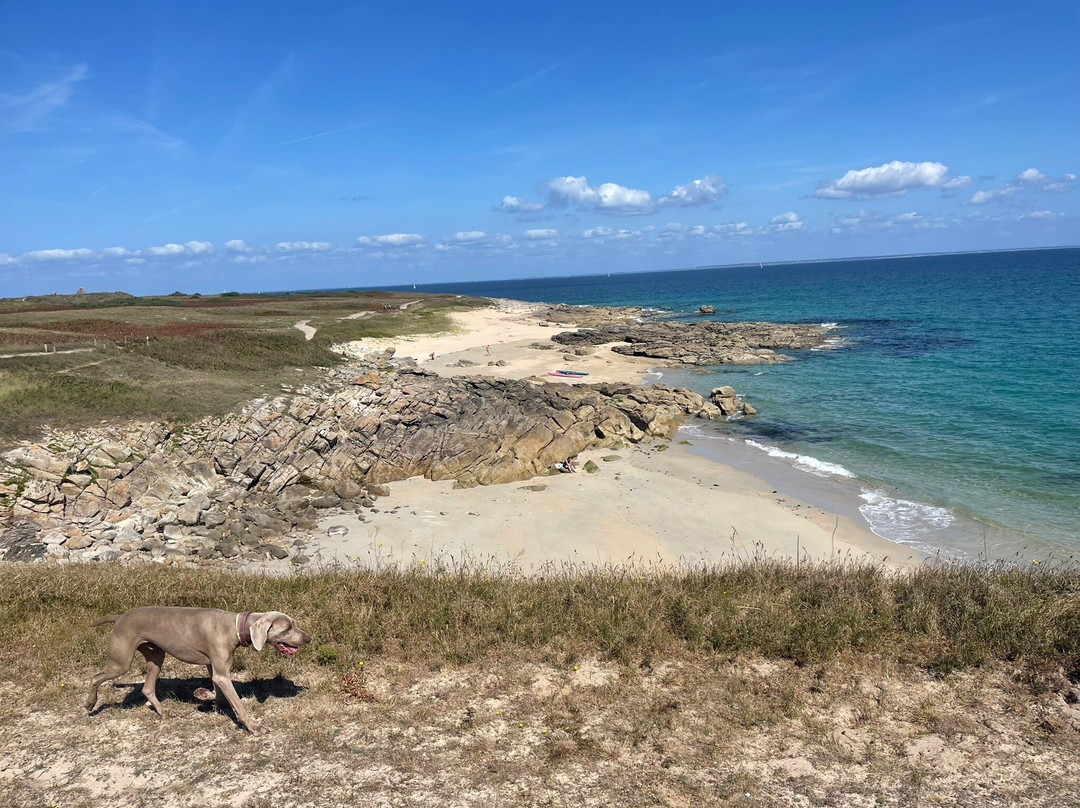 Tour de l'île d'HOËDIC