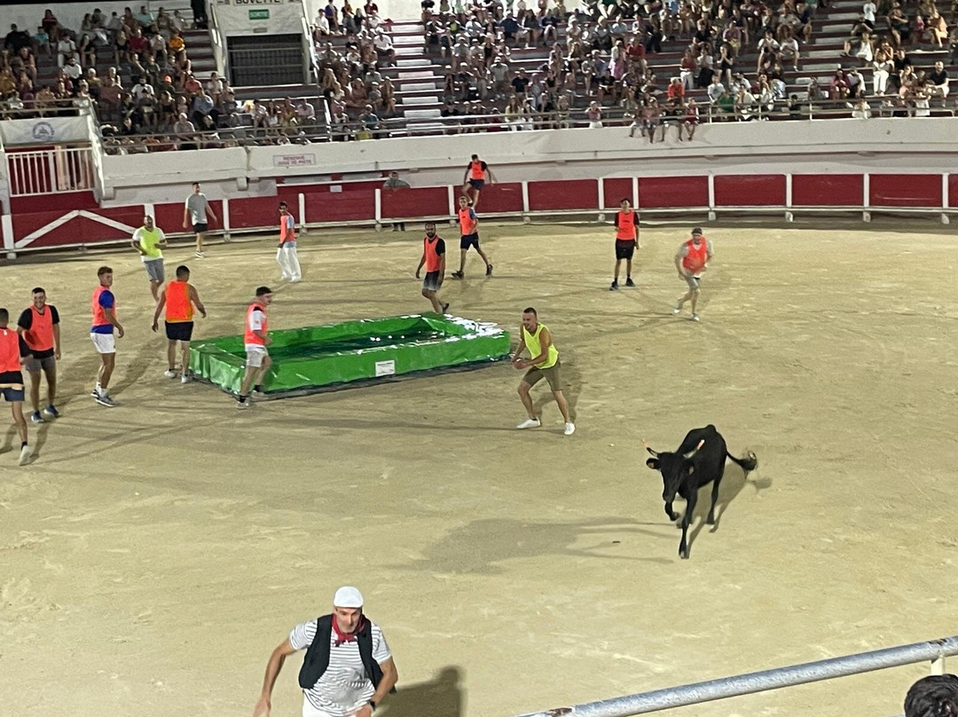 Sainte Marie De La Mer Occitanie